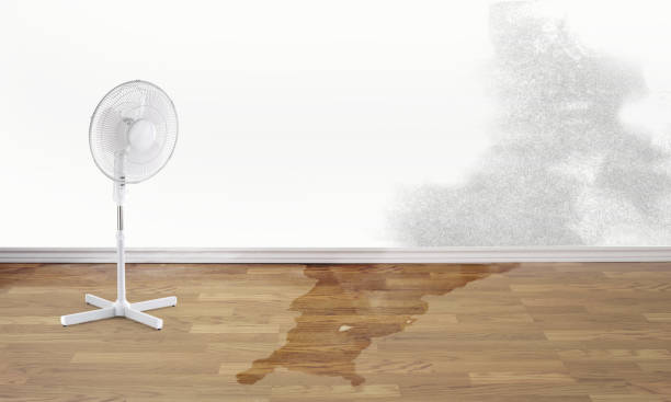 Best Professional water damage repair  in Winston, OR