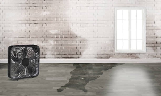Winston, OR Water damage restoration Company